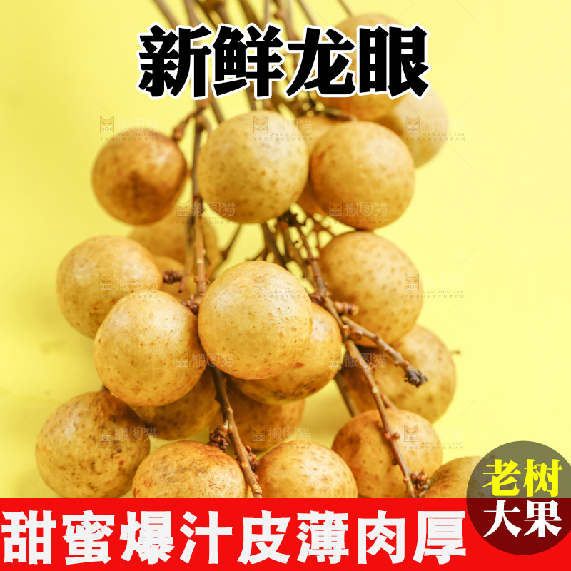 浅底上放着新鲜龙眼