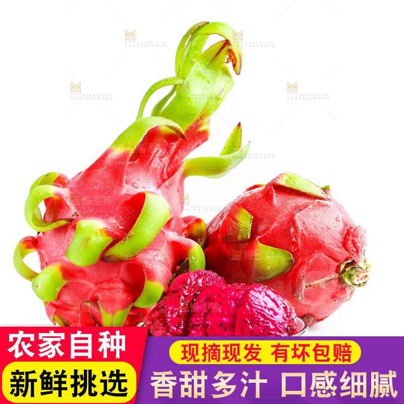 白底上的火龙果