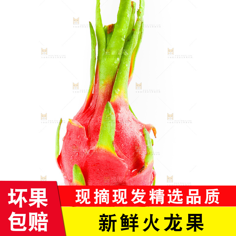 白心火龙果放在白底上