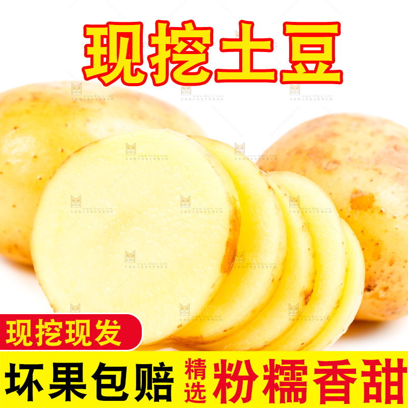 黄心土豆放在白底上