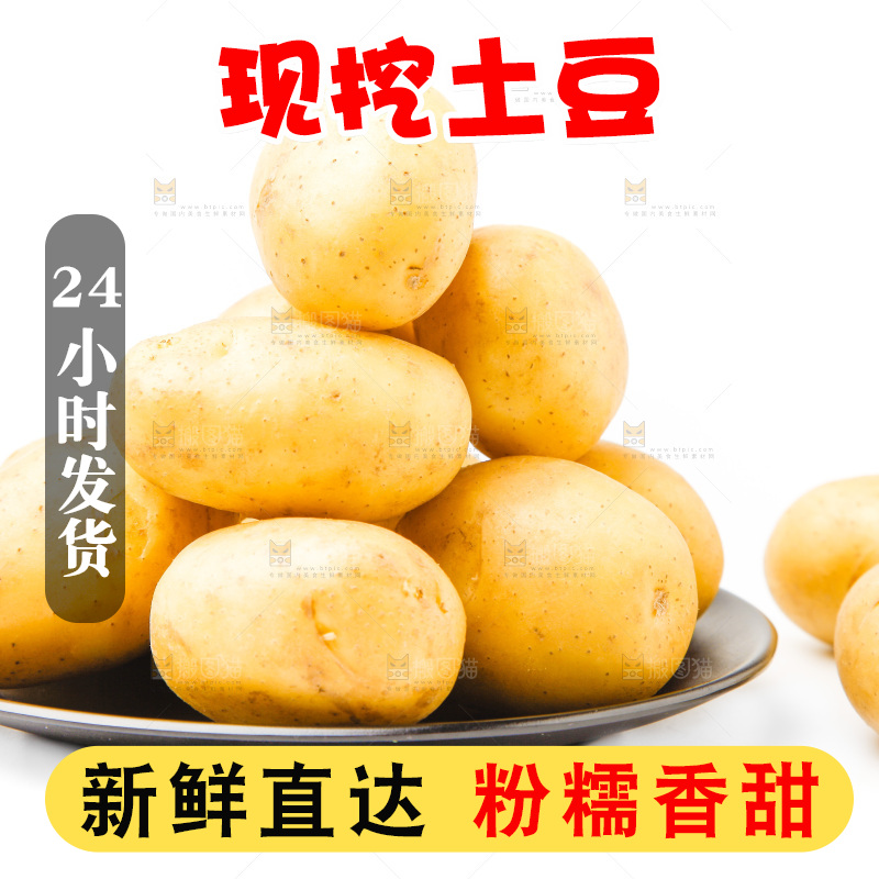 一盘新鲜土豆放在白底上