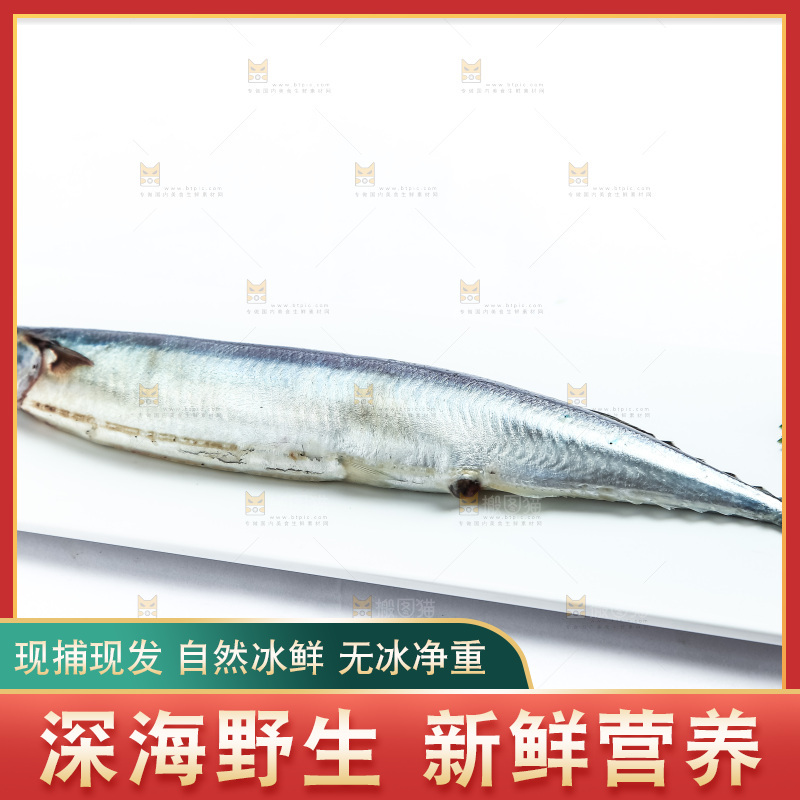白底上放着一盘秋刀鱼