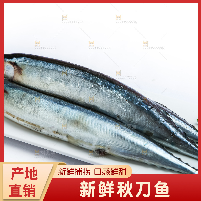 白底上放着一盘秋刀鱼
