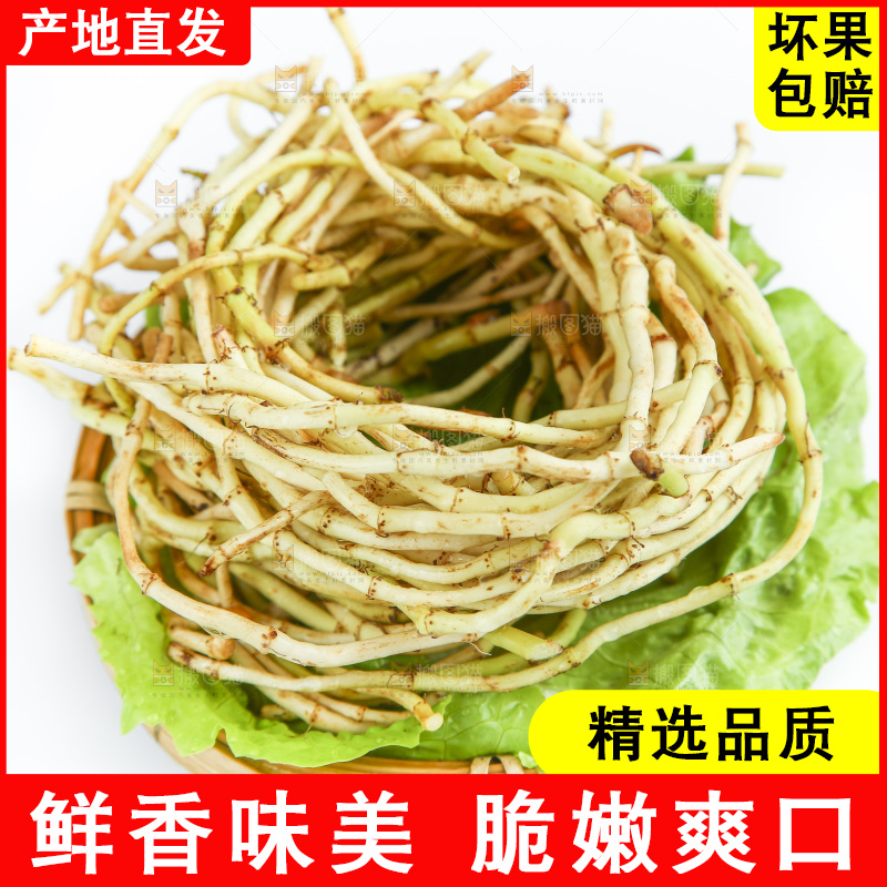 白底上的鱼腥草