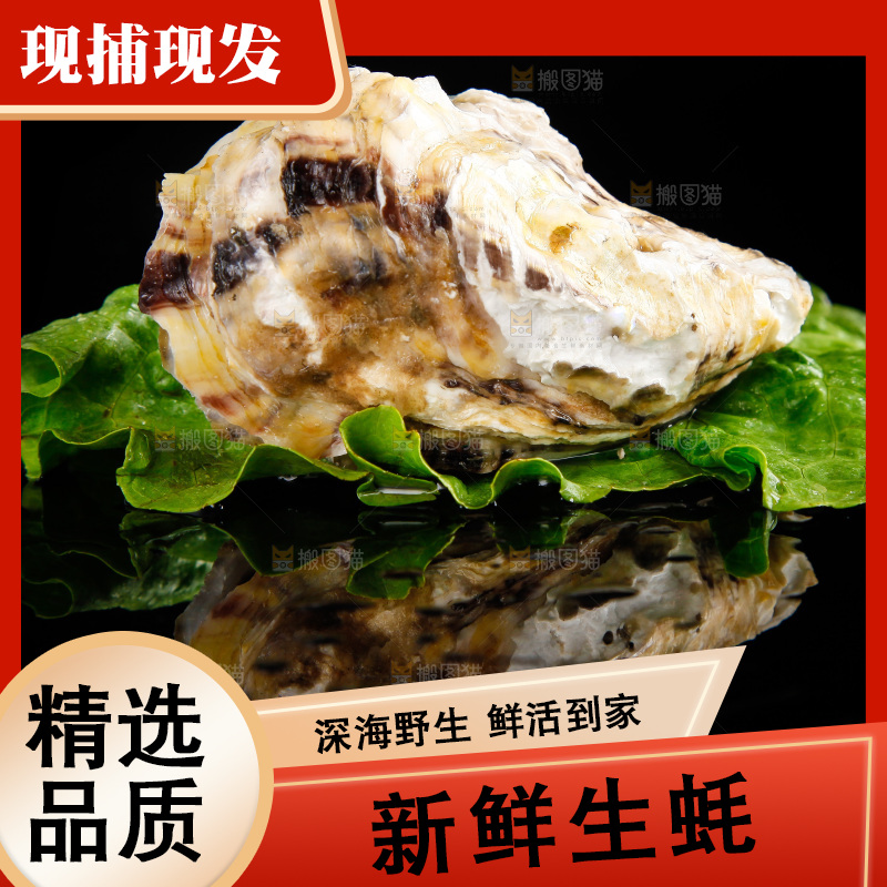 深底上放着牡蛎