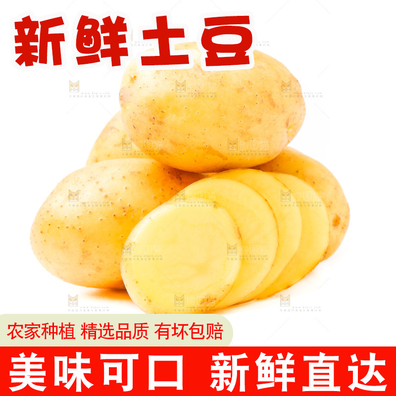新鲜土豆放在白底上