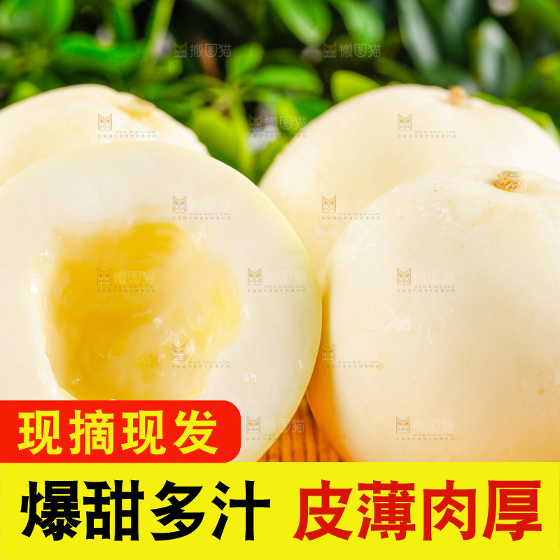 木底上放着陕西阎良甜瓜