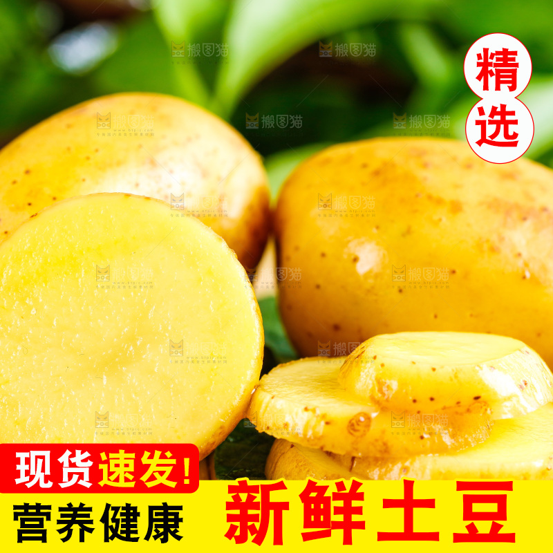 浅底上放着云南黄心土豆