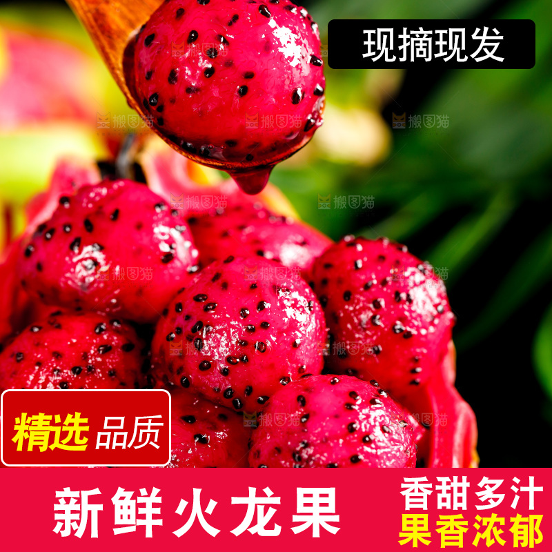 勺子里装着红心火龙果