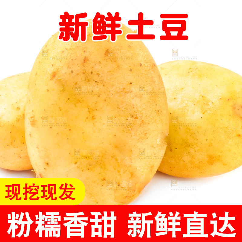 白底上的新鲜土豆
