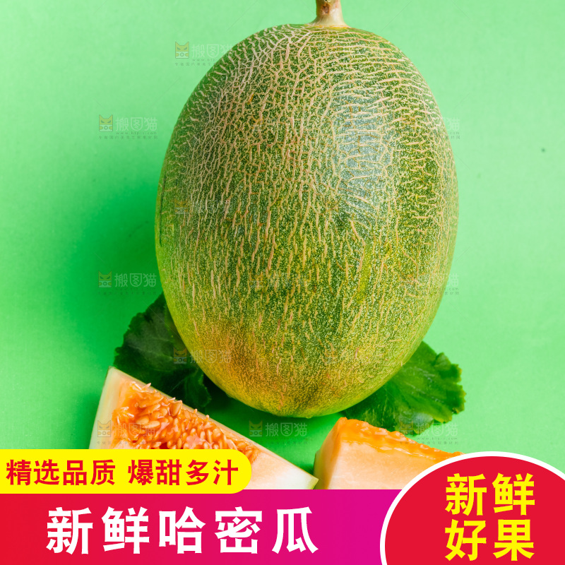 浅底上的哈密瓜