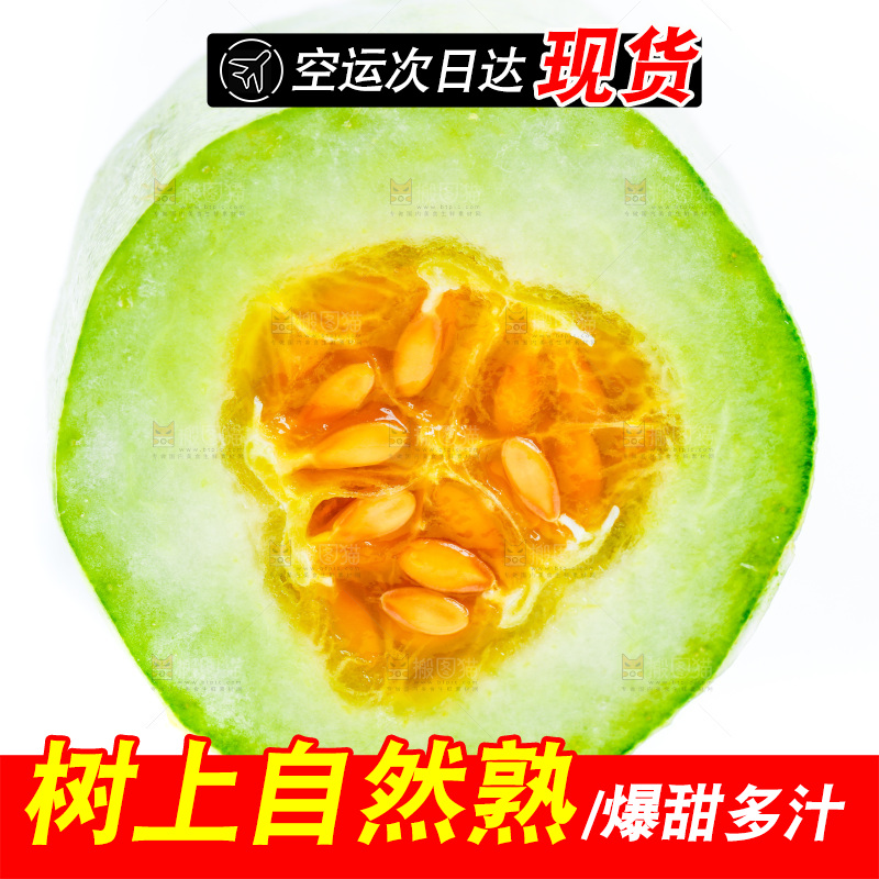 新鲜羊角蜜放在白底上