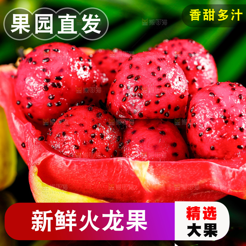 深底上放着红心火龙果果肉
