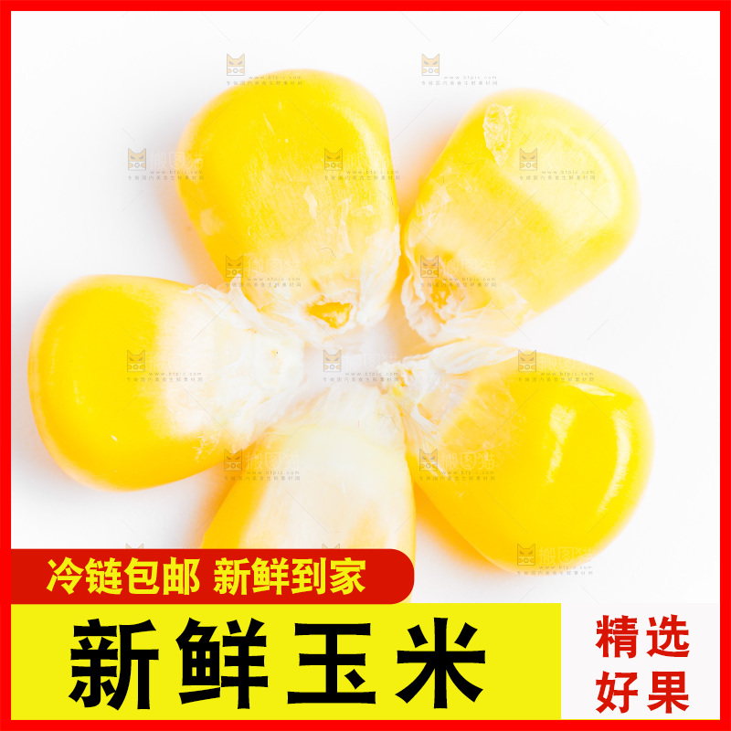 白底上的甜玉米