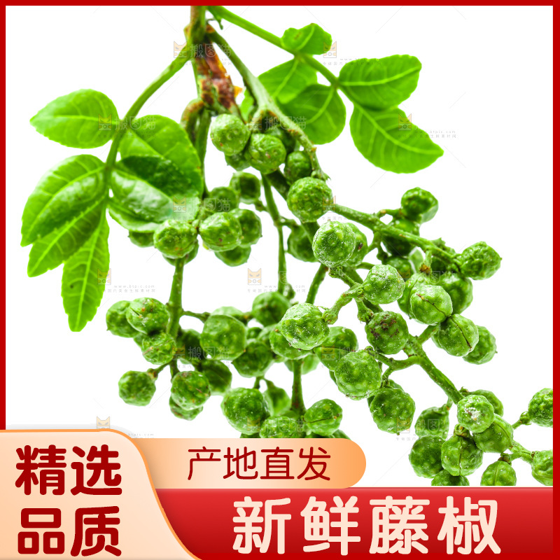 白底上的新鲜藤椒