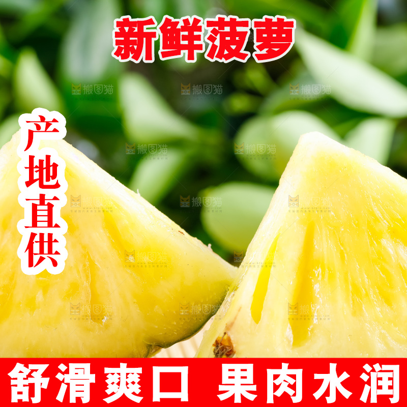 云南香水小菠萝放在白底上
