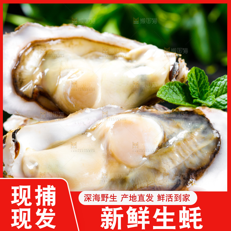深底上放着牡蛎