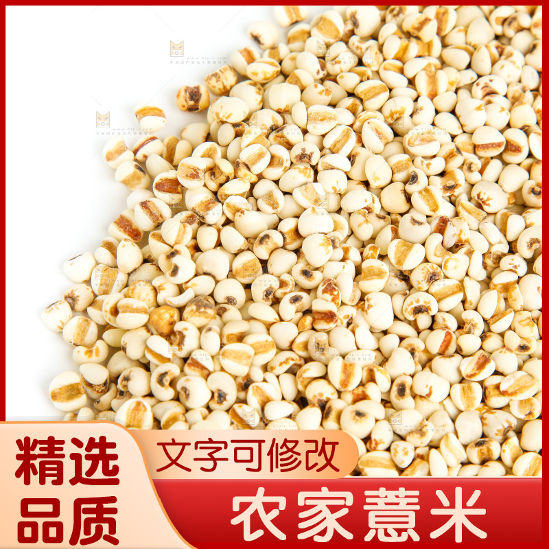 新鲜薏米放在白底上