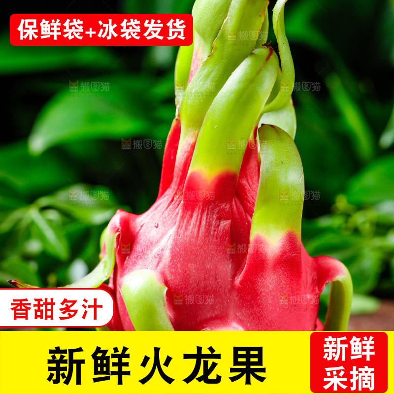 木底上放着海南红心火龙果