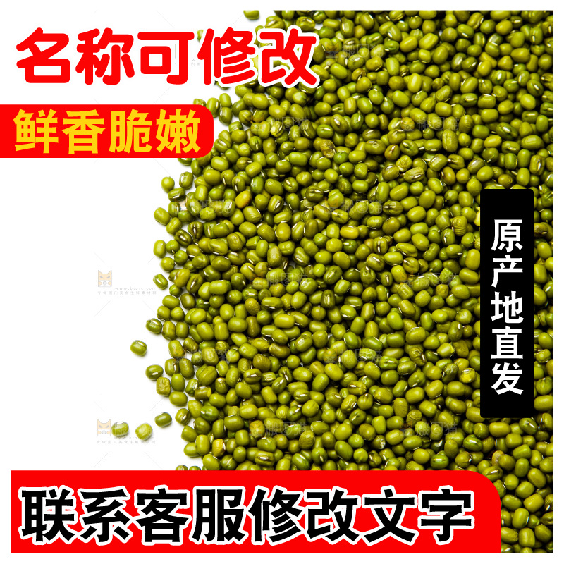 新鲜绿豆放在白底上