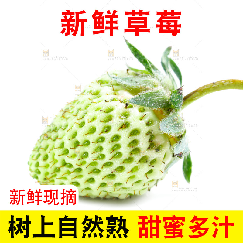 白底上的新鲜草莓