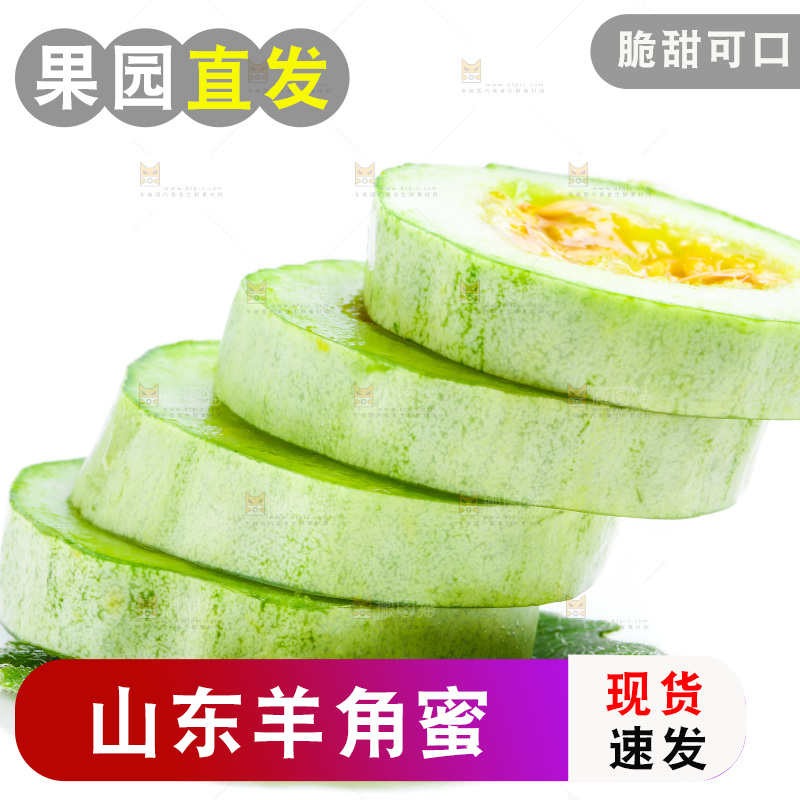 新鲜羊角蜜放在白底上