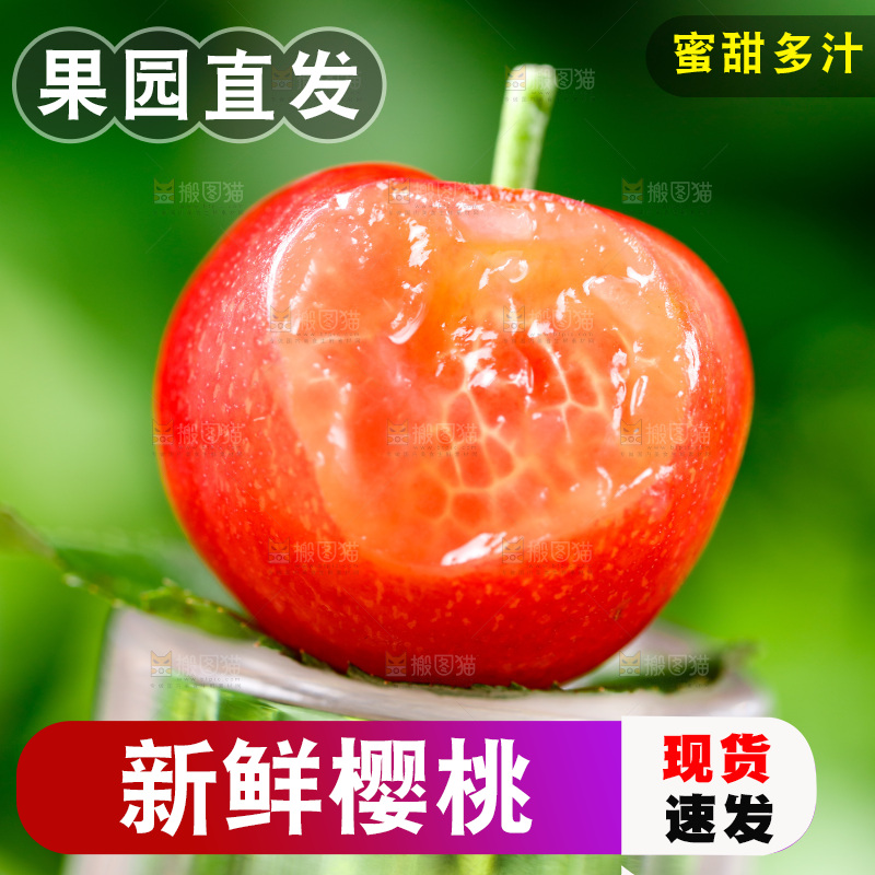 浅底上的烟台樱桃
