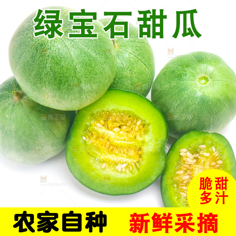 山东绿宝甜瓜放在白底上