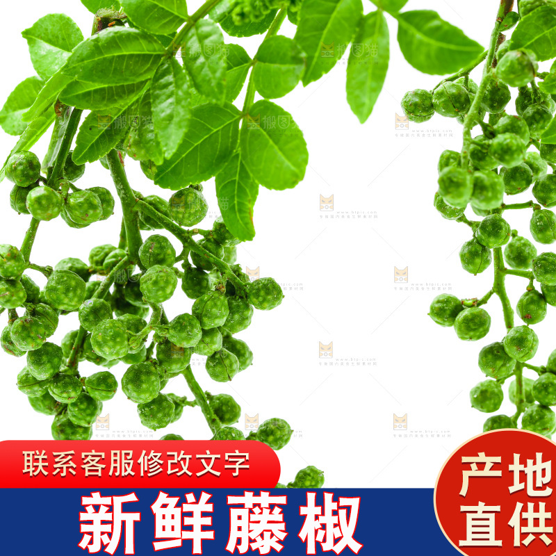 白底上的新鲜藤椒