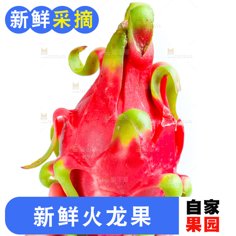 手拿火龙果