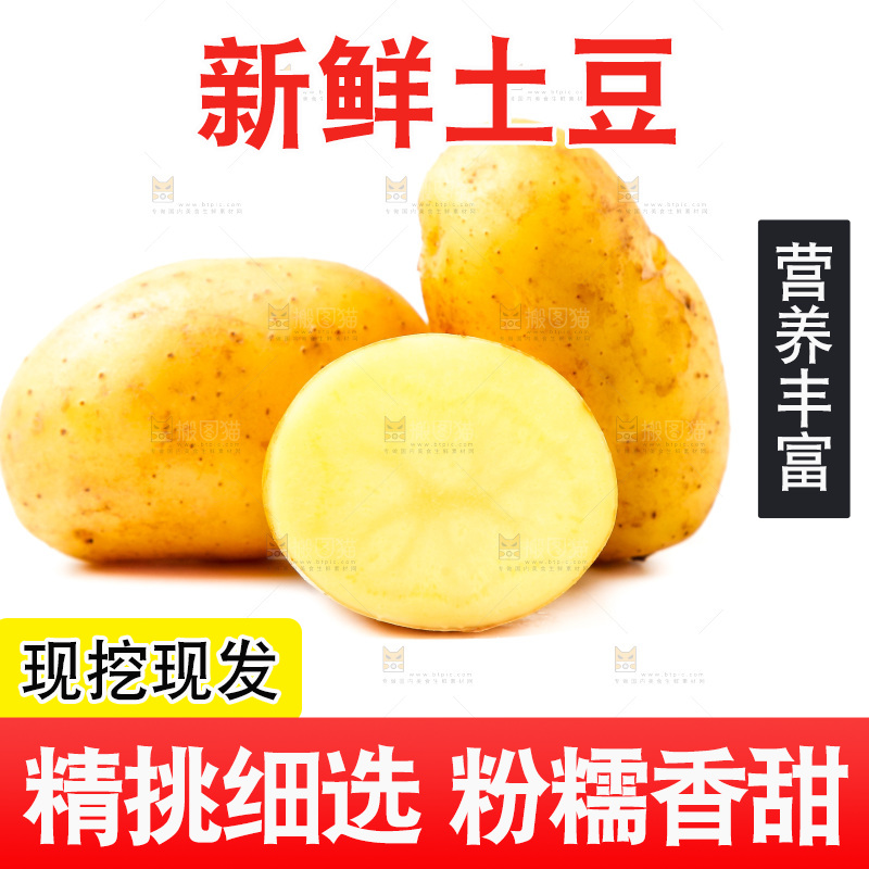 黄心土豆放在白底上