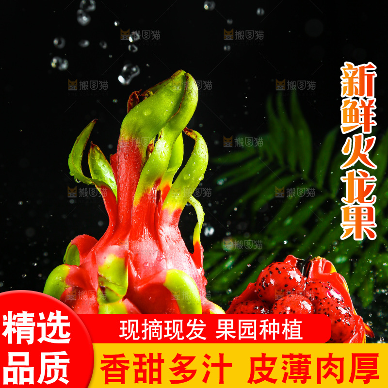 黑底上放着海南红心火龙果