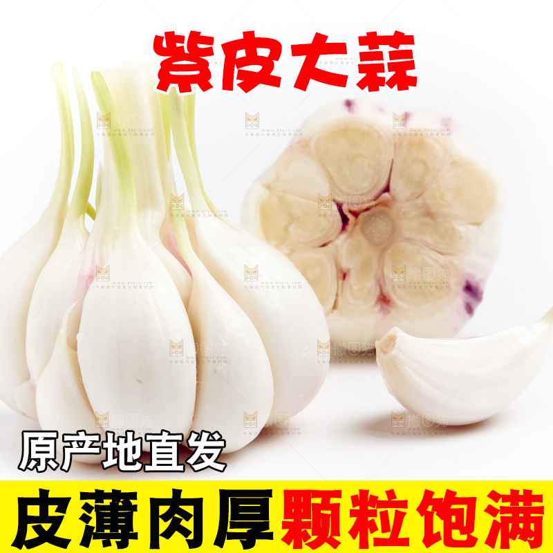 白底上放着多瓣蒜