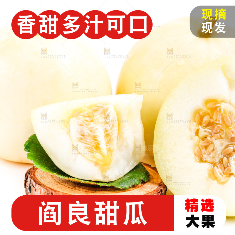新鲜阎良甜瓜放在白底上
