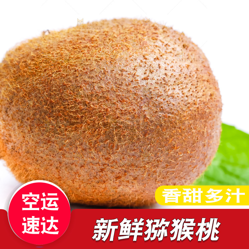 白底上放着绿心猕猴桃