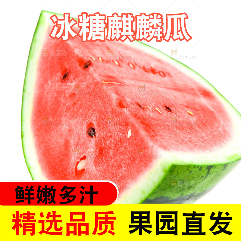 切开的麒麟西瓜放在白底上