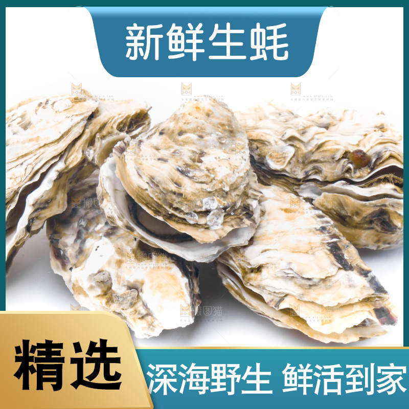 乳山生蚝放在白底上