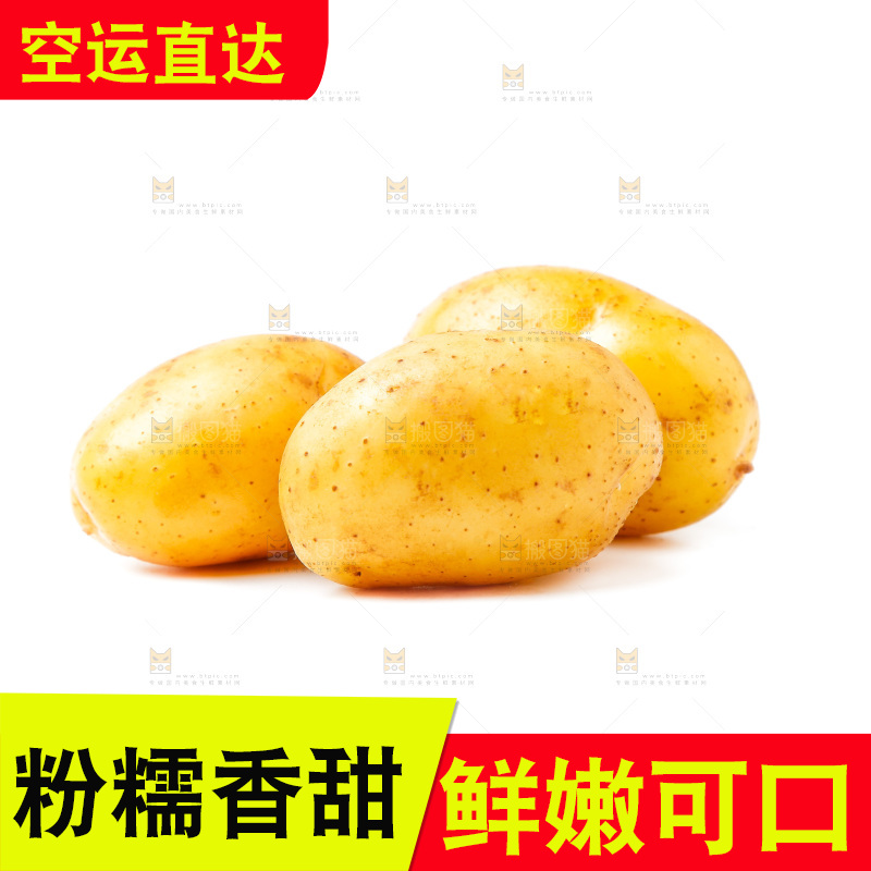 黄心土豆放在白底上