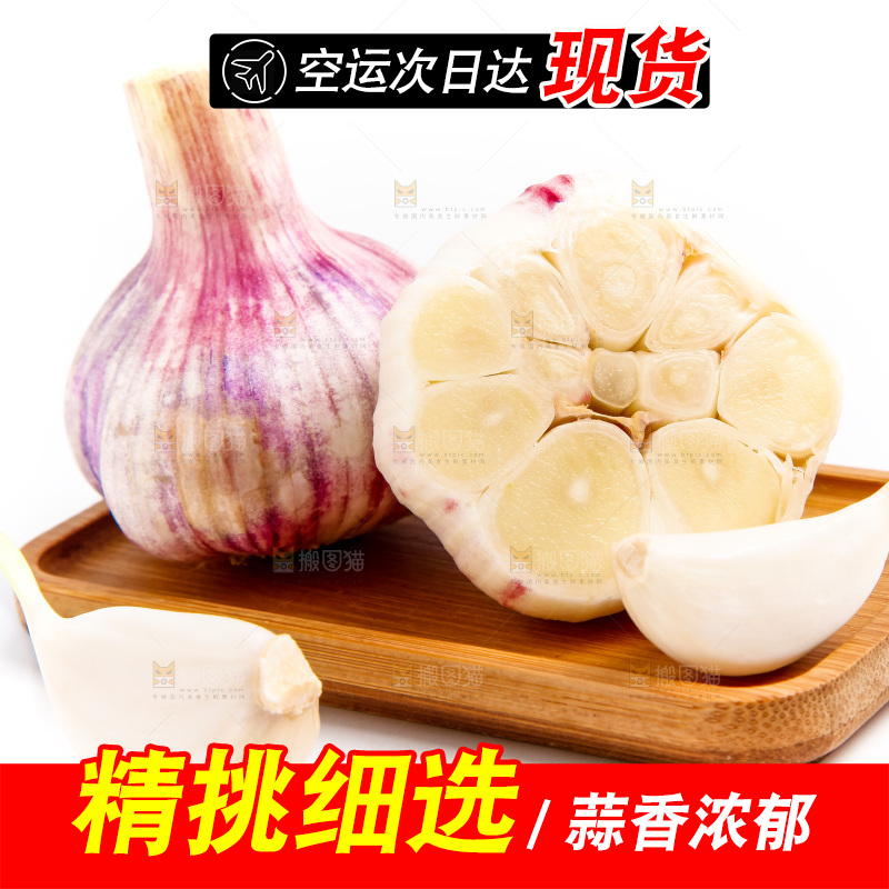 紫皮大蒜放在白底上