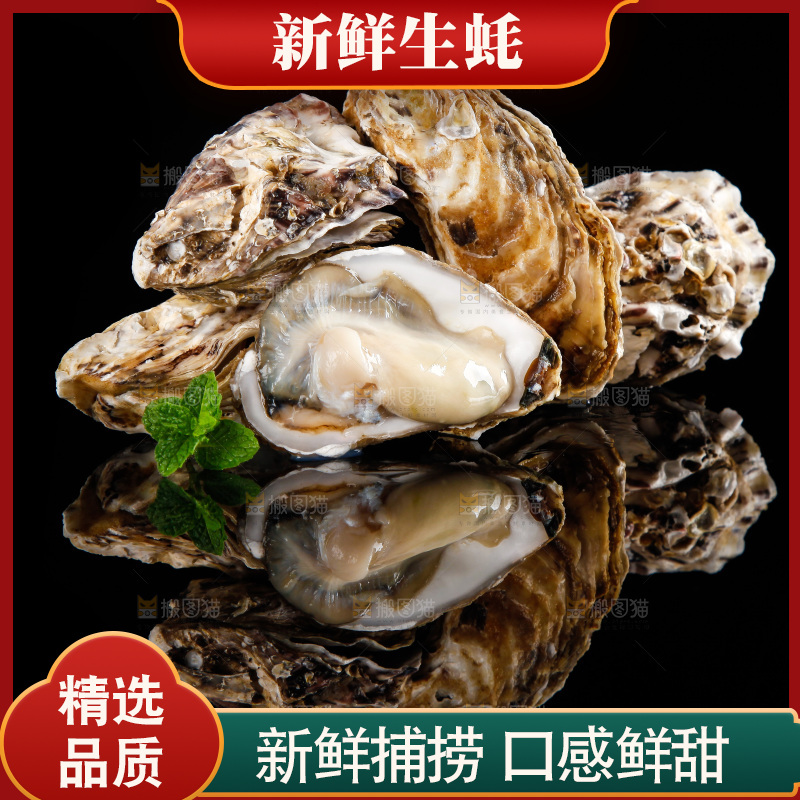 黑底上放着海蛎子