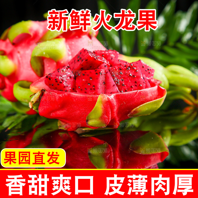 黑底上放着红心火龙果