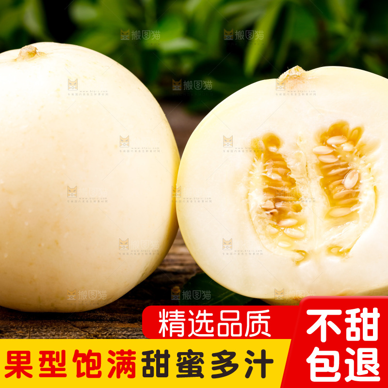 木底上的阎良甜瓜