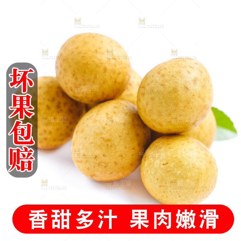白底上的龙眼