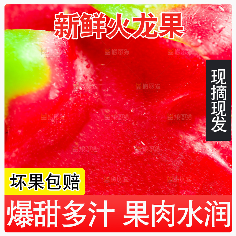 白底上的火龙果