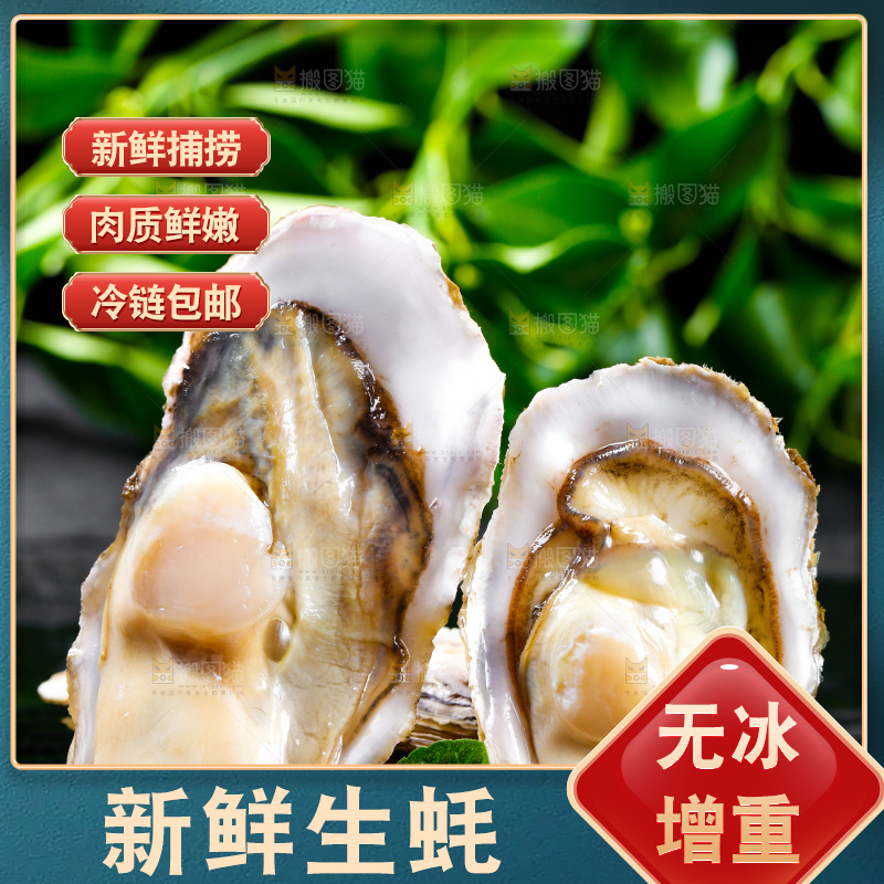 深底上放着牡蛎