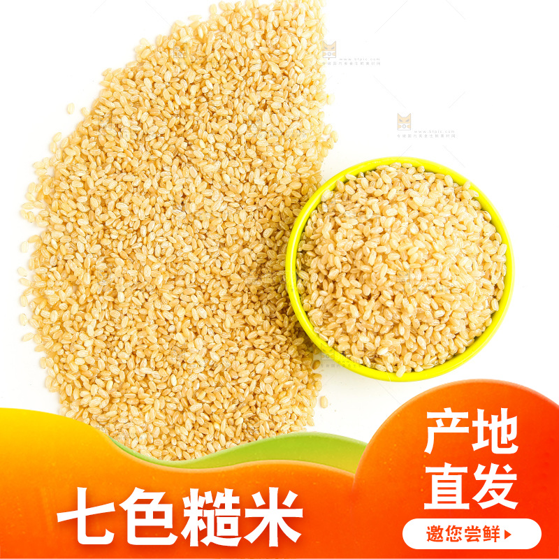 东北糙米放在白底上