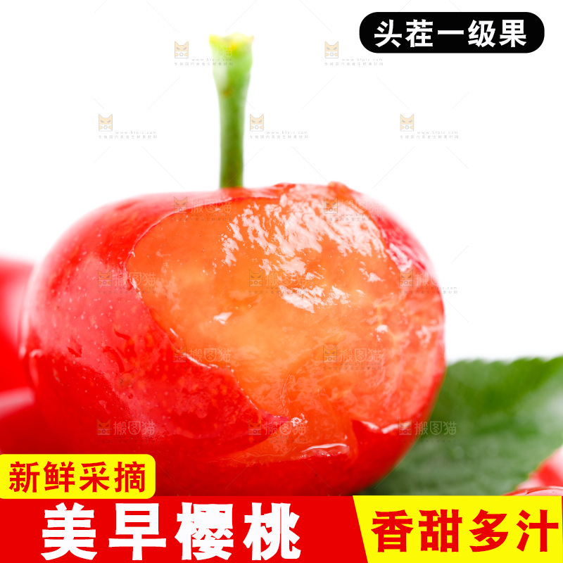 白底上的新鲜樱桃
