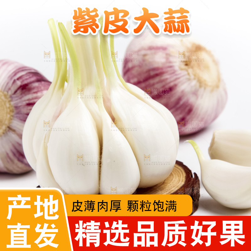 白底上放着多瓣蒜