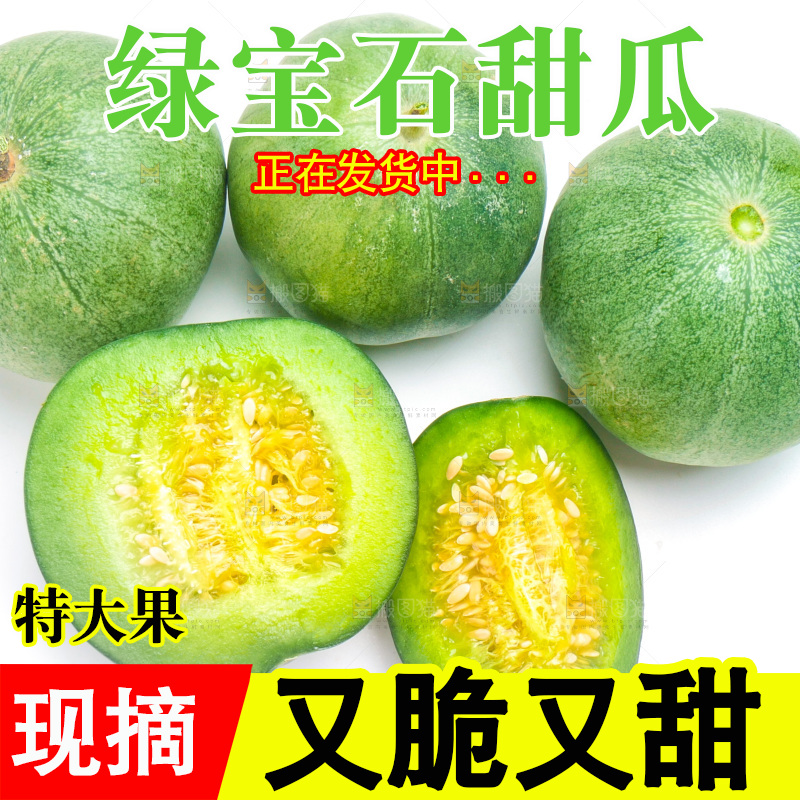山东绿宝甜瓜放在白底上