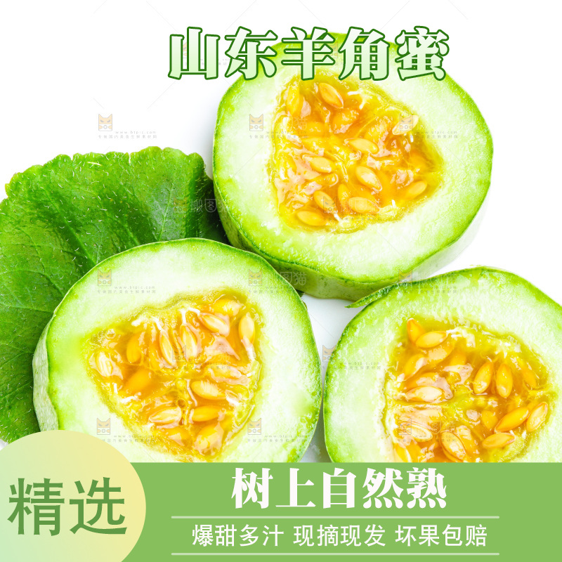 新鲜羊角蜜放在白底上